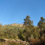 hpim4480.jpg hpim4480.jpg