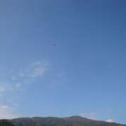 dsc01047-1.jpg