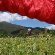 dsc00124 dsc00124