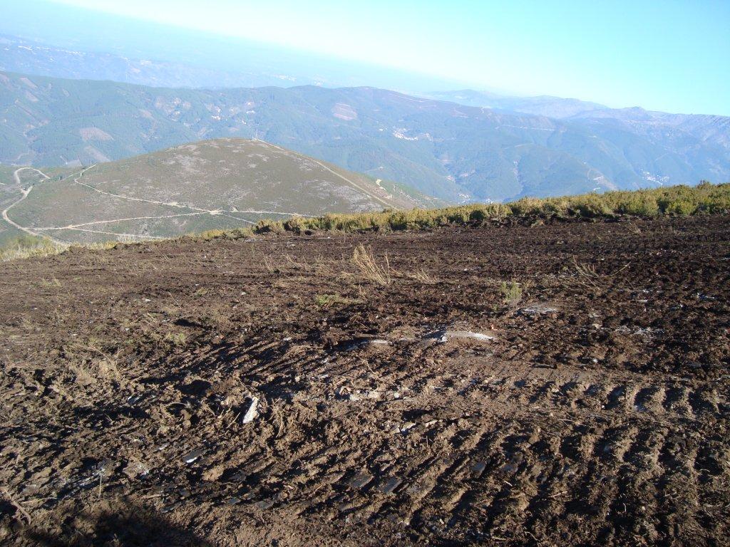 rampe culcurinho-26012011-6-2.jpg